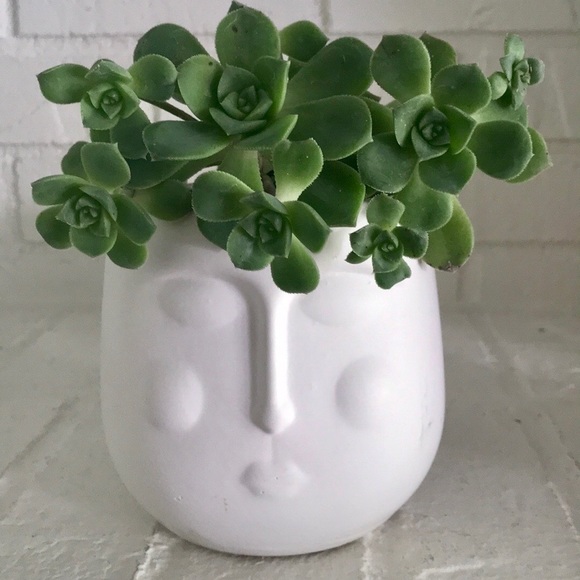 New Face Planter - Picture 3 of 11